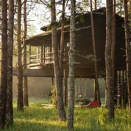 Vila Sambliku Treehouse Jogisoo Exteriér fotografie