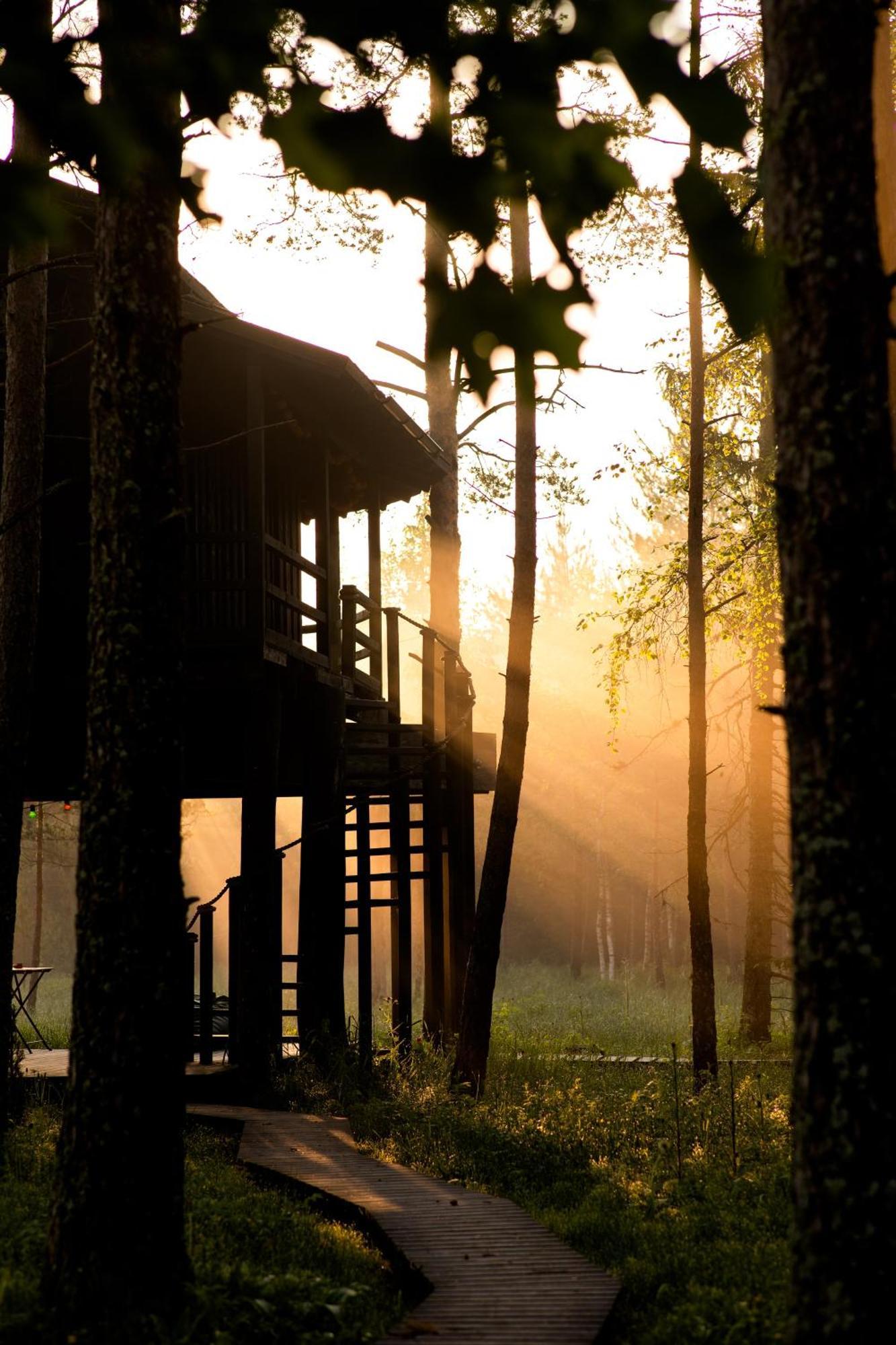 Vila Sambliku Treehouse Jogisoo Exteriér fotografie